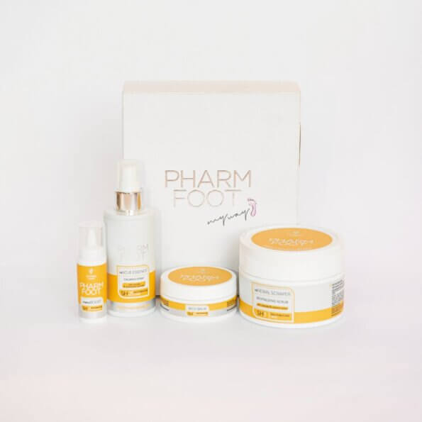 551e7419-aca4-4a2f-9cbe-2f8d374bd65c