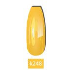 k248