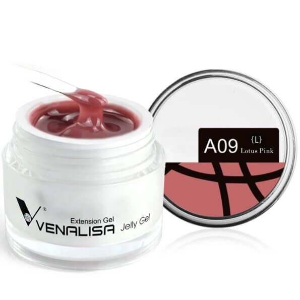 גל בנייה ונליסה 09