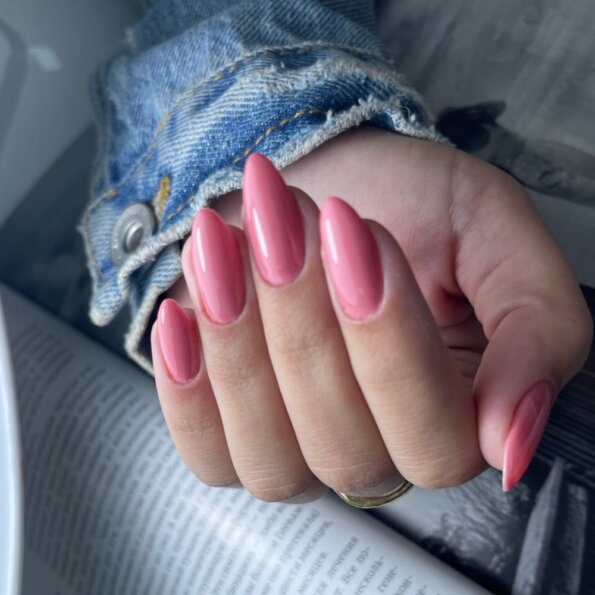 צבעי-גלמור-מס.1-100-117