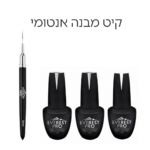 קיט מבנה אנטומי